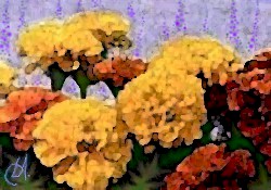 Marigolds & Lavender © 1999 Leslie Mundy