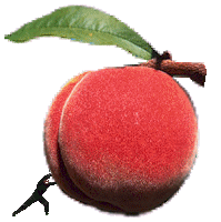 Tai-Chee means supreme/ultimate/very large peach.