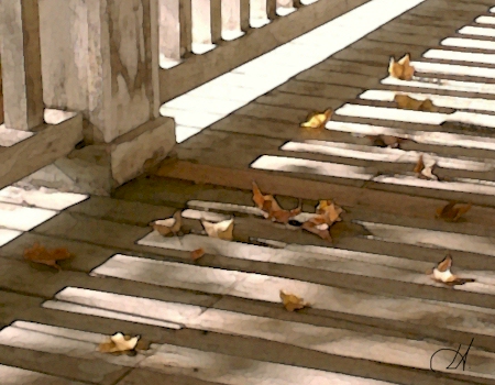 Leaves on the Porch © 2002 New Moon