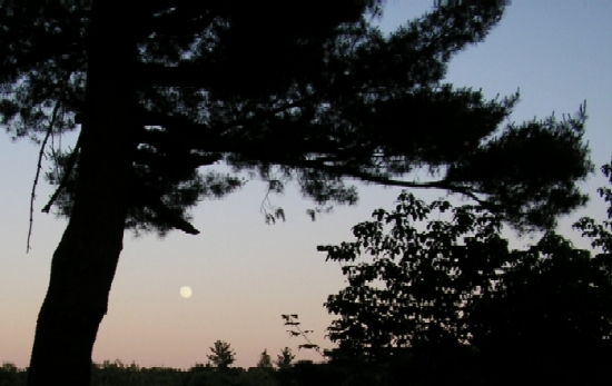 
Summer Moonrise at the Pine Tree Dojo © 2005 New Moon.